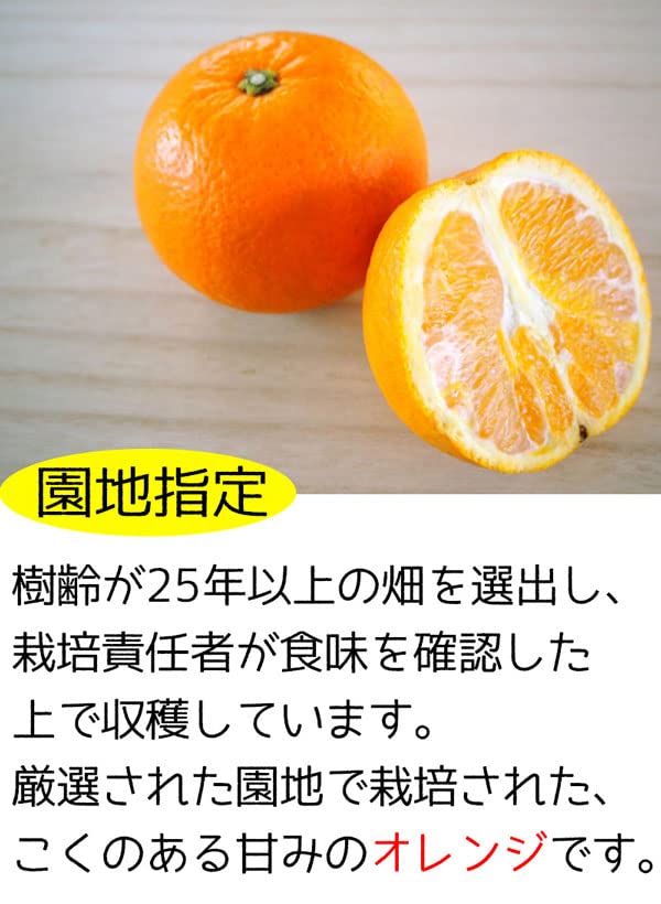 Amazon.co.jp: 高糖度 ネーブルオレンジ 5kg 22玉前後 園地指定 糖度